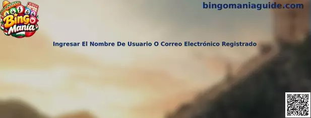 Ingresar el nombre de usuario o correo electrónico registrado