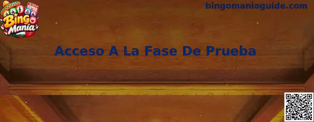 Acceso A La Fase De Prueba Bingo Manía