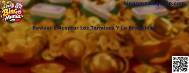 Revisar y aceptar los términos y la privacidad en Bingo Manía